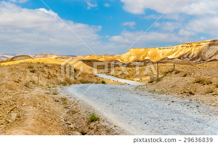 Gravel road in Judaean Desert near Dead Sea - 29636839