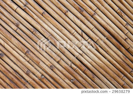 bamboo fence background 29638279