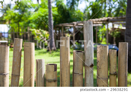 Old bamboo fence in a tropical country. Texture Old bamboo fence in a tropical country. Texture 29638291