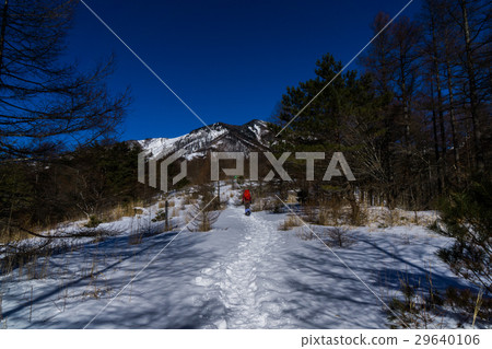 Climber walking on a snowy mountain Climber walking on a snowy mountain 29640106