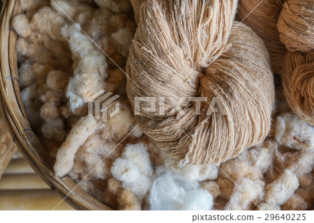 White cotton from dry kapok fruit in  bucket. 29640225