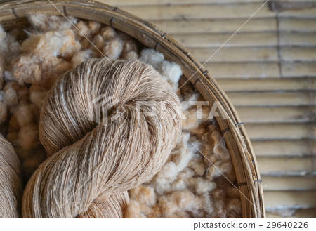 White cotton from dry kapok fruit in  bucket. 29640226