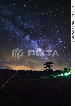 Milky Way and silhouette of tree at PhuHinRongKla Milky Way and silhouette of tree at PhuHinRongKla 29640451