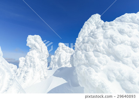 Yamagata Zao _ Sunny and the Ice-ice Group 29640893