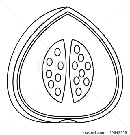 Watermelon icon, outline style 29642236