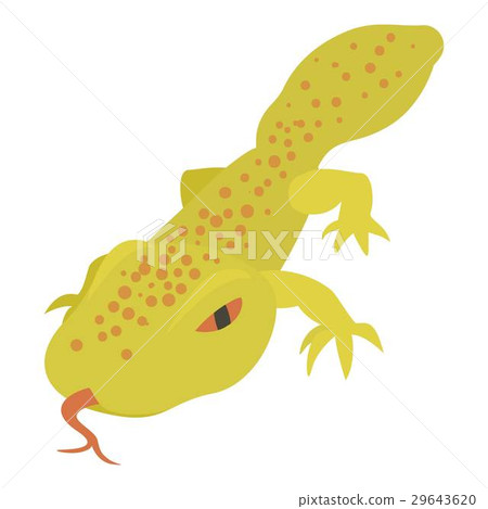 Spotted lizard icon, cartoon style Spotted lizard icon, cartoon style 29643620