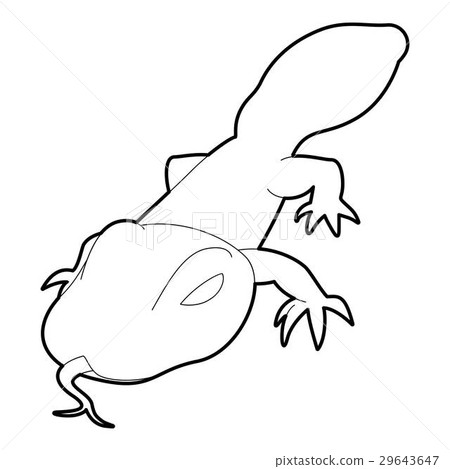 Spotted lizard icon, outline style Spotted lizard icon, outline style 29643647