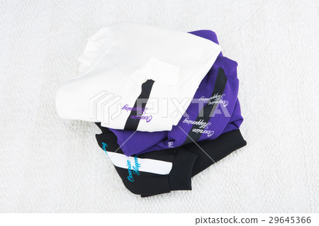 Apparel objects 015 29645366