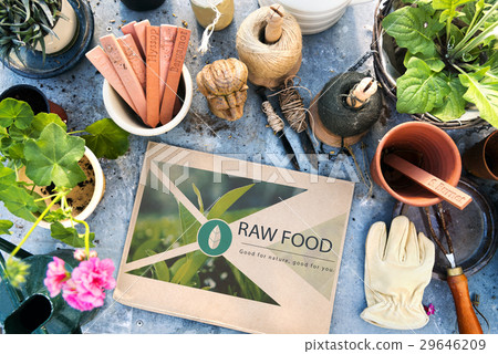 Fresh Food Healthy Lifestyle Organic Fresh Food Healthy Lifestyle Organic 29646209