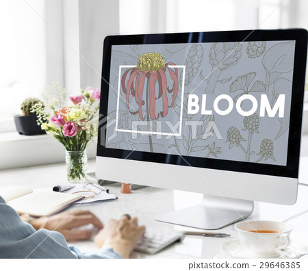 Blooming Floral Arts and Crafts Nature Blooming Floral Arts and Crafts Nature 29646385