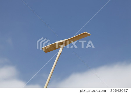 Bamboo dragonfly and blue sky 29648087