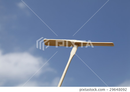 Bamboo dragonfly and blue sky 29648092