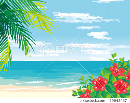 Tropical beach illustration Tropical beach illustration 29648467