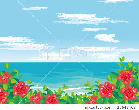 Tropical beach illustration 29648468