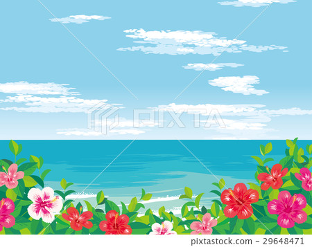 Hibiscus illustration 29648471