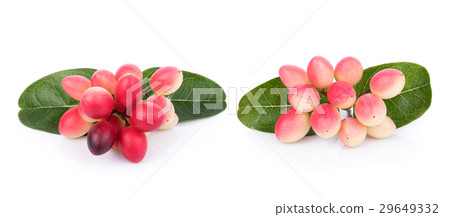 Carunda or Karonda on white background Carunda or Karonda on white background 29649332