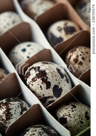 Carton box with quail eggs 29650474