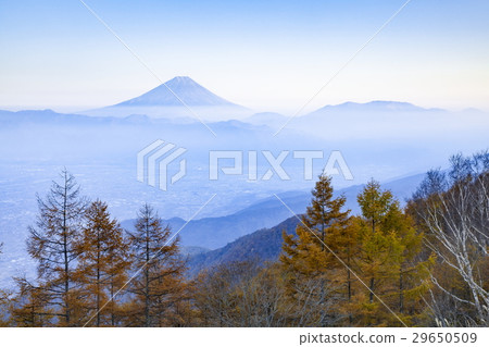 富士山和Lycraeal秋葉,山梨縣Amari-cho 富士山和Lycraeal秋葉,山梨縣Amari-cho 29650509