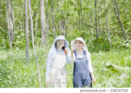 Attention to bear women Attention to bear women 29650768