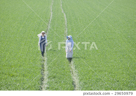 農場婦女 29650979
