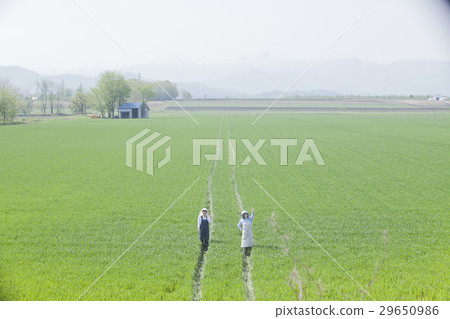 農場婦女 29650986