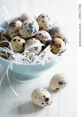 Quail eggs Quail eggs 29651768