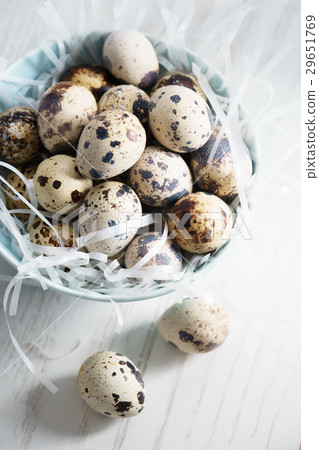 Quail eggs 29651769