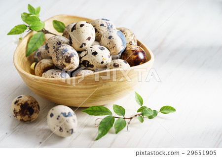 Quail eggs Quail eggs 29651905