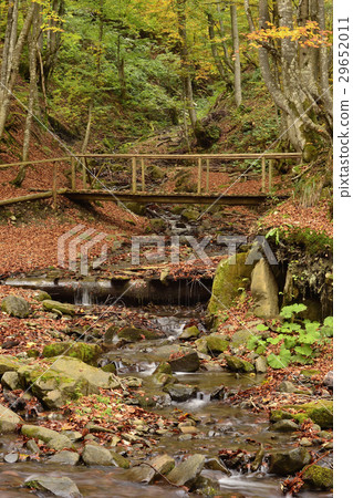 Autumn landscape with river, Carpathian mountains Autumn landscape with river, Carpathian mountains 29652011