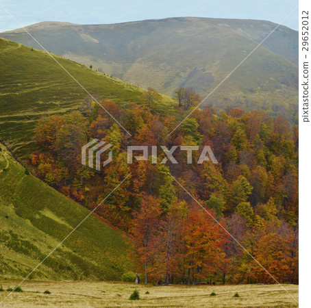 Ukraine Carpathian Mountains 29652012