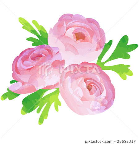 出生花·四月·毛茛屬 29652317