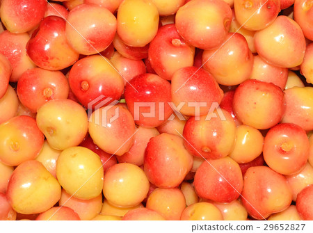 Yellow cherries background Yellow cherries background 29652827