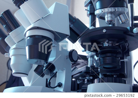 Group of Microscopes Group of Microscopes 29653192