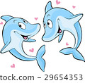dolphin in love 29654353