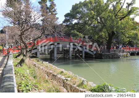 Dazaifu Tenmangu Shrine dumbo bridge and heartfelt pond Dazaifu Tenmangu Shrine dumbo bridge and heartfelt pond 29654483