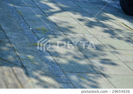 華山文創園區5 29654836