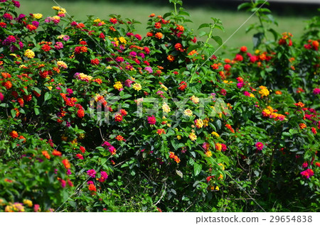 華山文創園區7 華山文創園區7 29654838