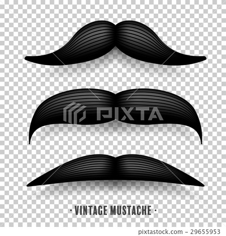 Mustache isolated on white. Black vector vintage Mustache isolated on white. Black vector vintage 29655953