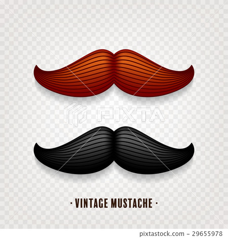 Mustache isolated on white. Black and brown vector 29655978