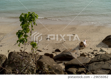 Young woman on a beach in beach dress Young woman on a beach in beach dress 29656062
