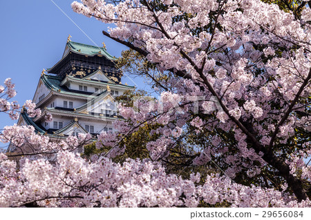 Spring Osaka Castle Spring Osaka Castle 29656084