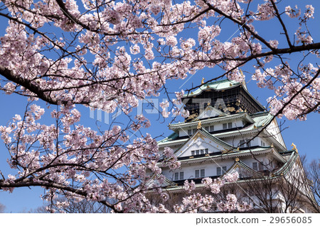 Spring Osaka Castle Spring Osaka Castle 29656085