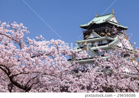 Spring Osaka Castle Spring Osaka Castle 29656086