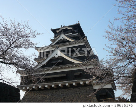 Kumamoto Castle  29656176
