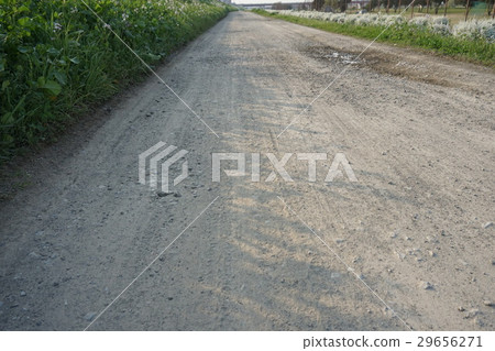 碎石路 碎石路 29656271