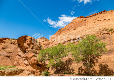 Canyon de Chelly National Monument Canyon de Chelly National Monument 29656285