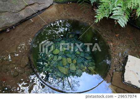 Kiyomasa的明治神宮力量點好 29657074