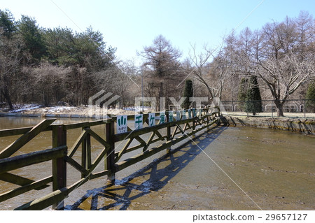 Sengataki Yukawa水溫頻道（4月初） 29657127