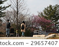 家人在公園散步 29657407