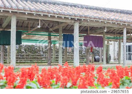 Minza編織Minsa Yaeyama 29657655